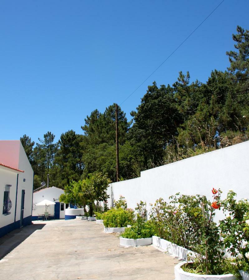 Bed and Breakfast Casa Do Loureiro Branco Сантарен Экстерьер фото